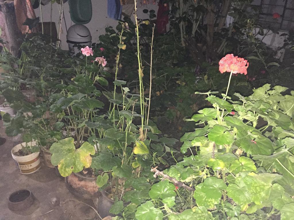 Casa Mirita Apartment กาฮามาร์กา ภายนอก รูปภาพ
